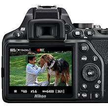 Nikon D3500 Review